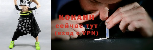 спиды Алзамай