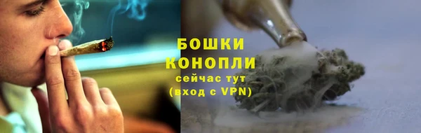 спиды Алзамай