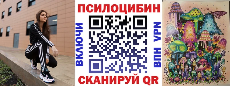 Псилоцибиновые грибы Psilocybe  Заинск 